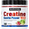 Survival Creatine Monohydrate Gentle Power