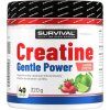 Survival Creatine Monohydrate Gentle Power (Varianta broskev, 480 g)