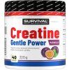 Survival Creatine Monohydrate Gentle Power (Varianta broskev, 480 g)