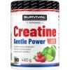 Survival Creatine Monohydrate Gentle Power (Varianta broskev, 480 g)