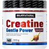 Survival Creatine Monohydrate Gentle Power