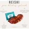 Four Sigmatic Reishi Mushroom Elixir Mix BIO, prášek (Množství 20 sáčků)
