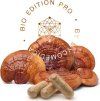 reishi hower kopie.1646628311