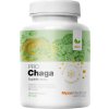 Chaga PRO