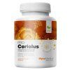 celek 0007 coriolus kopie.1646628311
