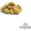Vitalvibe Moruše bílá BIO (Množství 250 g)