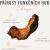 chaga extrakt bio kapsle