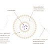 vitamin d3 k2 liposomalni kapsle