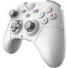 GAMMSI0010 1