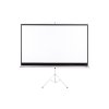 Projekční plátno AVELI stativ, 265x149cm (16:9) 120"