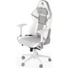 Endorfy herní židle Scrim OWH / kombinace textil / kůže/ bílá