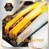 PATRIOT VIPER ELITE 5 TUF GAMING RGB HS 32GB DDR5 6600MT/s / DIMM / CL34 / 1,4V / Kit 2x 16GB