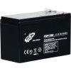 FSP 12V/9Ah baterie pro UPS FSP