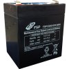 FSP 12V/4.5Ah baterie pro UPS FSP