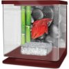 CATGATO Betarium Betta kit stones 2l