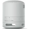 9 SRS XB100 Light Gray panel