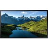 75" LED Samsung OH75A - UHD,3500cd,FO,24/7