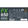 FX650 label