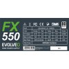 EVOLVEO FX 550,zdroj 550W ATX,14cm,80+,White,3YRW