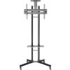Neomounts PLASMA-M1700E / Mobile Flat Screen Floor Stand (height: 154-170 cm) / Black