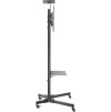 Neomounts PLASMA-M1700E / Mobile Flat Screen Floor Stand (height: 154-170 cm) / Black