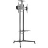 Neomounts PLASMA-M1700E / Mobile Flat Screen Floor Stand (height: 154-170 cm) / Black