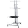 Neomounts PLASMA-M1800E / Mobile Flat Screen Floor Stand (height: 110-180 cm) / Silver
