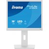 iiyama ProLite/B1980S-W1/19"/TN/1280x1024/75Hz/3ms/White/3R