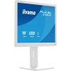 iiyama ProLite/B1980S-W1/19"/TN/1280x1024/75Hz/3ms/White/3R