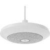 mic pod pendant mount white 3