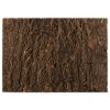 Pozadí Repti Planet korek přírodní 58,5x41x2cm