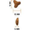 10373 granule