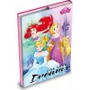desky na sešity box A5 Disney (Princess) 8020819