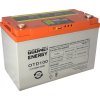 GOOWEI ENERGY DEEP CYCLE (GEL) baterie GOOWEI ENERGY OTD100, 100Ah, 12V