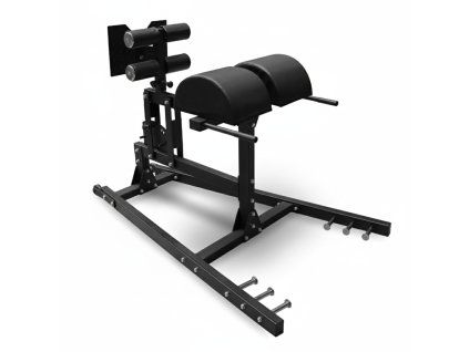 310 glute ham developer f166