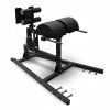 310 glute ham developer f166