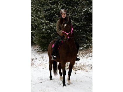 Rope halter with a core
