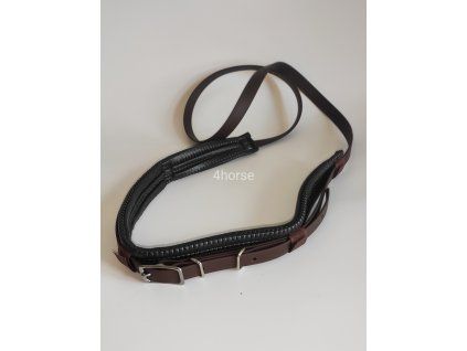 BioThane neck strap