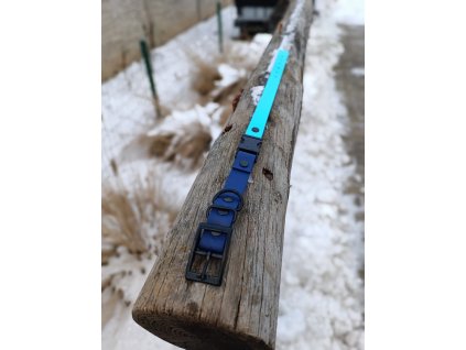 klasický obojek s trojzubcem