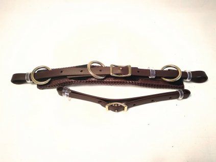 BioThane-Cavemore