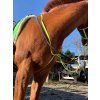 Martingale