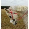 One-ear headstall with throatlash