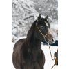 BioThane show halter