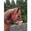 Hackamore bridle