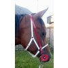 Uzdečka endurance Click system (Endurance Bridle Click system)