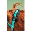Genickpolster