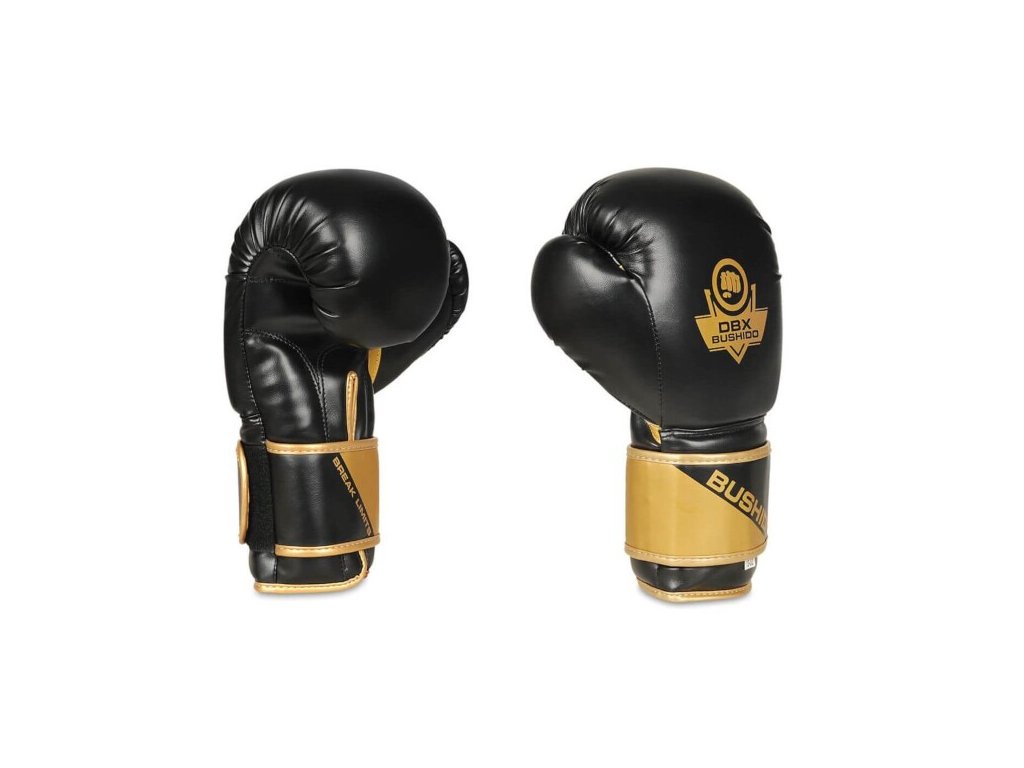 Boxerské rukavice DBX BUSHIDO B-2v10 - 4KARATE