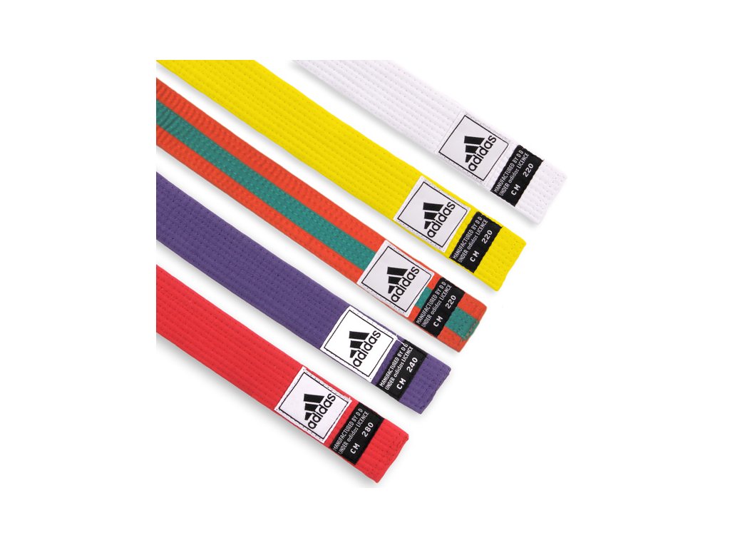 Нашивка на пояс каратэ. Оранжевый пояс киокушинкай. Полоски на поясе в карате. Насечка на оранжевом поясе. Белый пояс с оранжевой нашивкой.