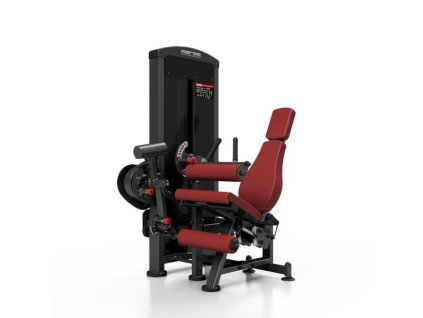 TMP 17 3 254 MAXI 01