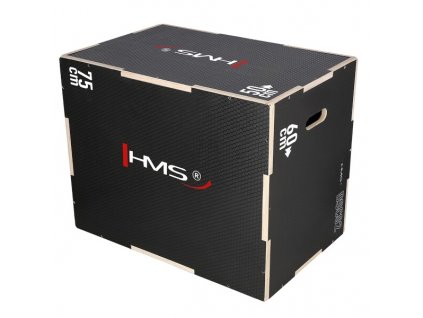 Plyo Box HMS DSC02